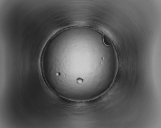 X0000093161283200710101147