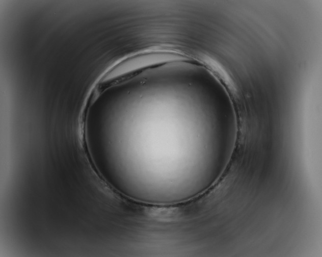 X0000093161284200710101147