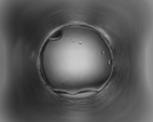 X0000093161287200710101147