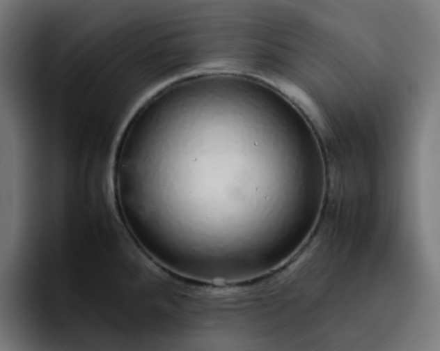 X0000093161288200710101147