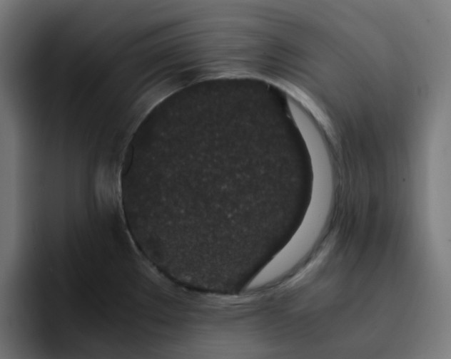 X0000093161289200710101147