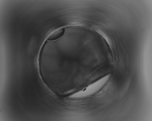 X0000093161291200710101147