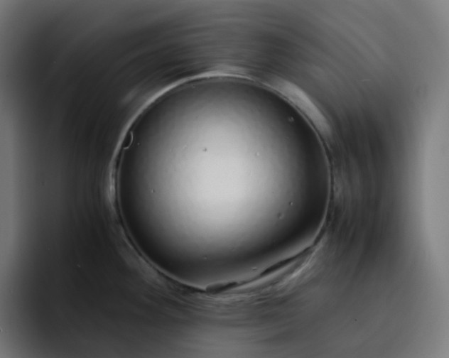 X0000093161292200710101147