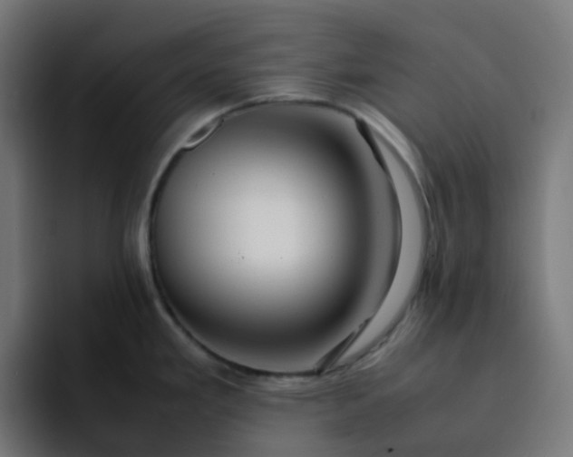 X0000093161293200710101147