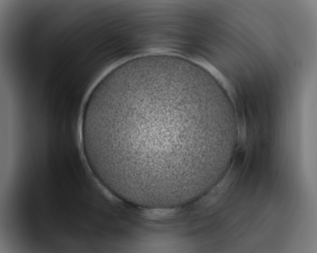 X0000093161294200710101147
