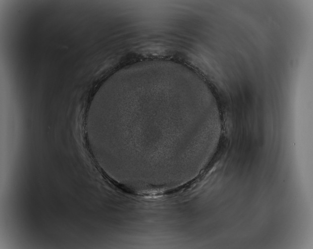X0000093161297200710101146