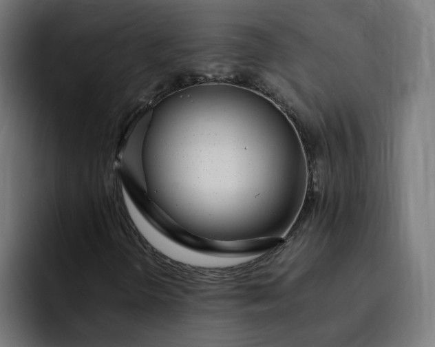 X0000093161298200710101146