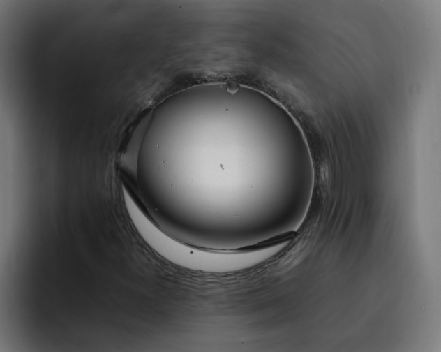 X0000093161300200710101146