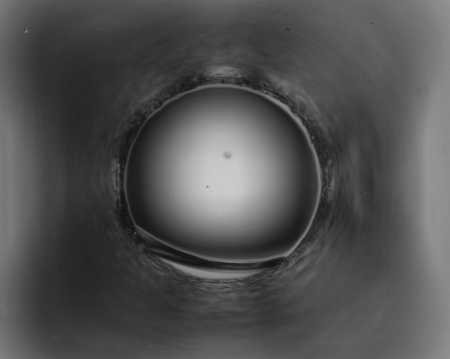 X0000093161301200710101146
