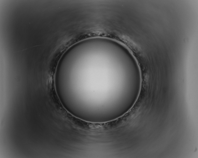 X0000093161302200710101146