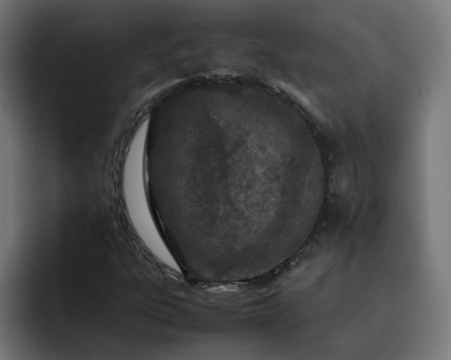 X0000093161303200710101146