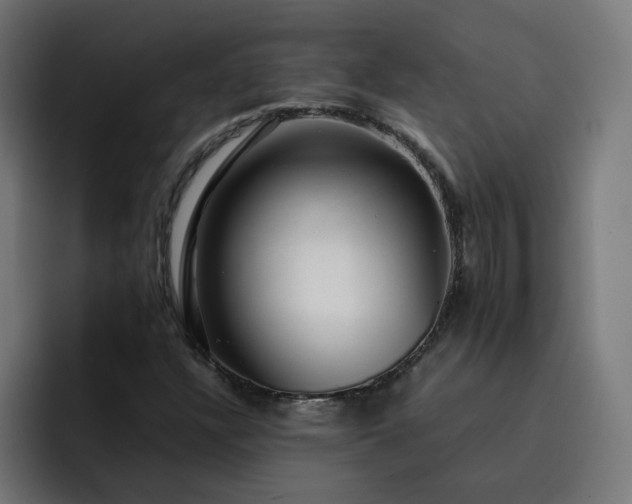 X0000093161304200710101146