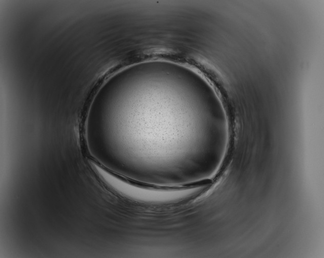 X0000093161305200710101147