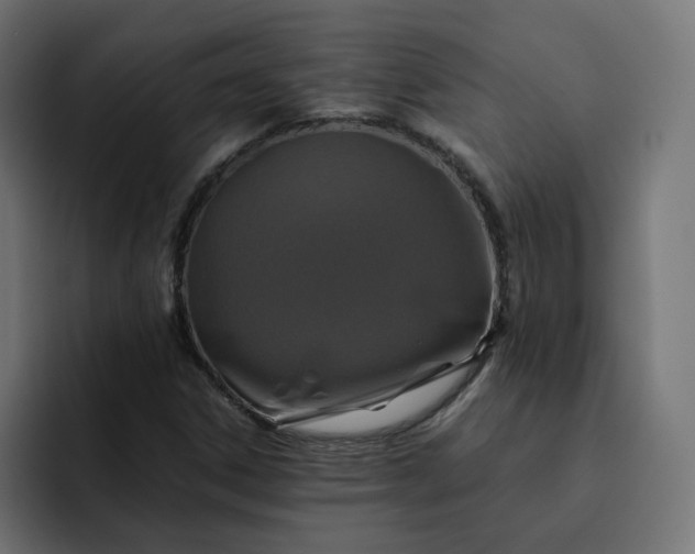 X0000093161306200710101147