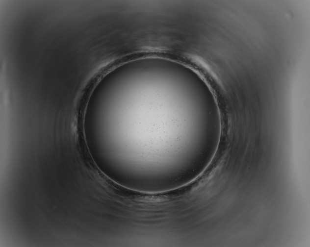 X0000093161307200710101147