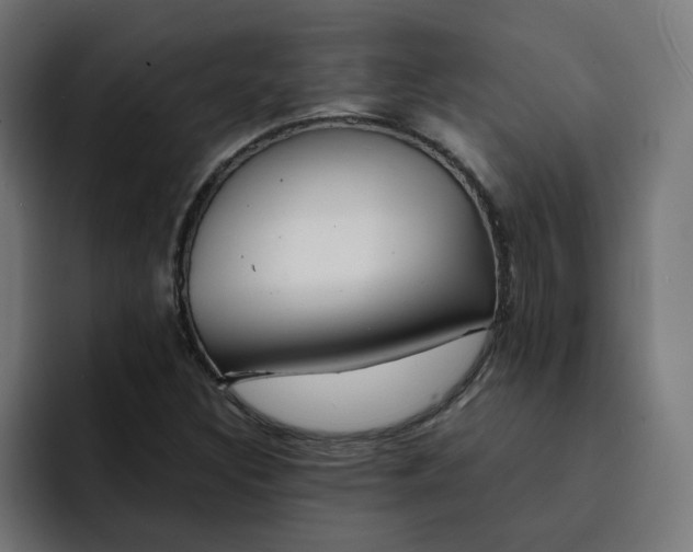 X0000093161308200710101147
