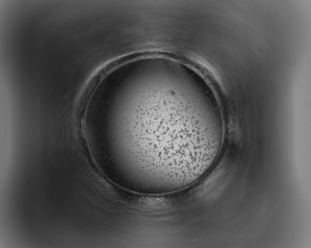 X0000093161310200710101147