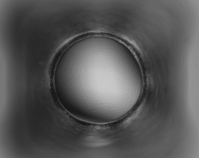 X0000093161311200710101147