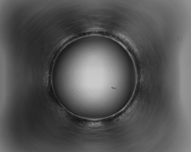 X0000093161313200710101147