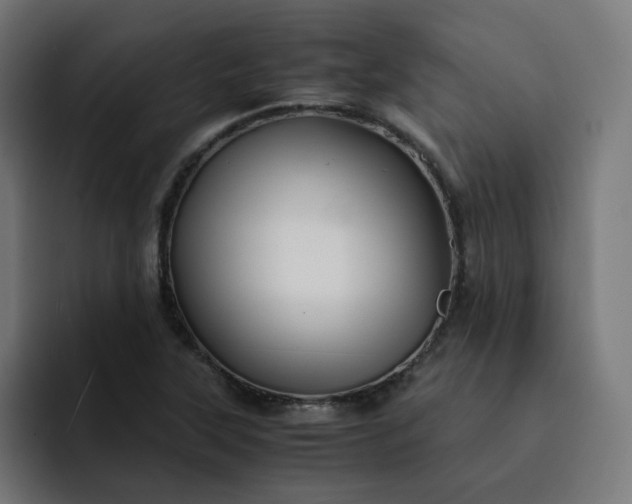 X0000093161315200710101147