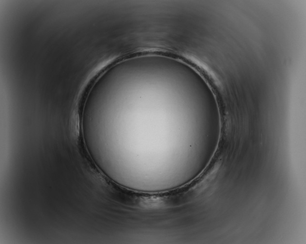 X0000093161317200710101147