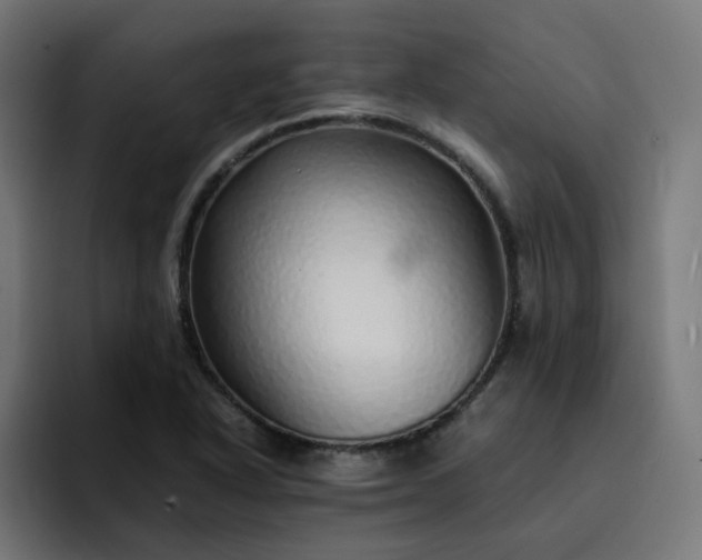 X0000093161318200710101147