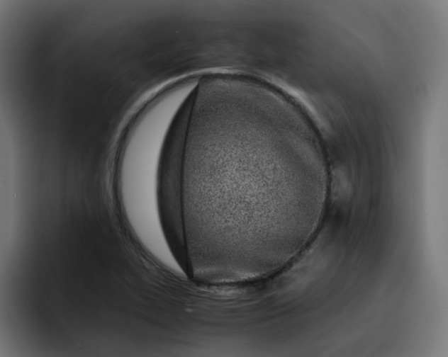 X0000093161319200710101147