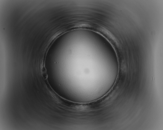 X0000093161321200710101147