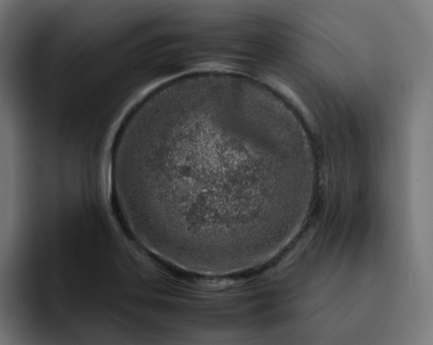 X0000093161323200710101147
