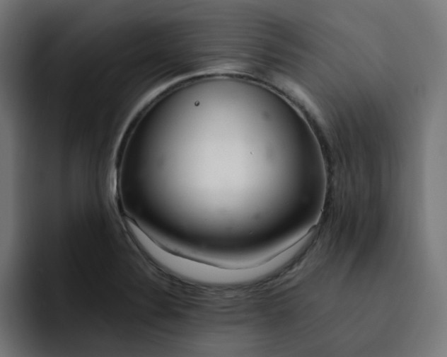 X0000093161324200710101147