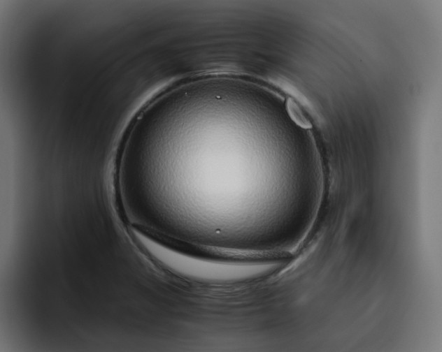 X0000093161325200710101147