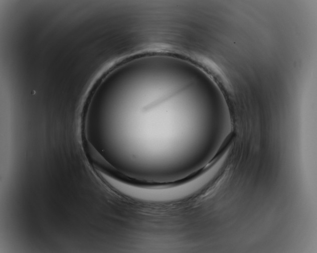 X0000093161326200710101147