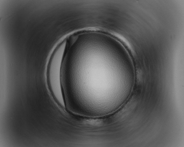 X0000093161327200710101147