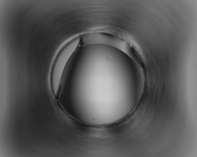 X0000093161328200710101147