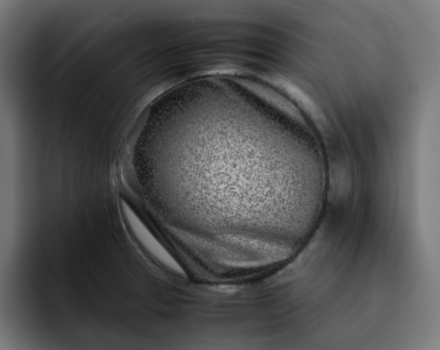 X0000093161329200710101147