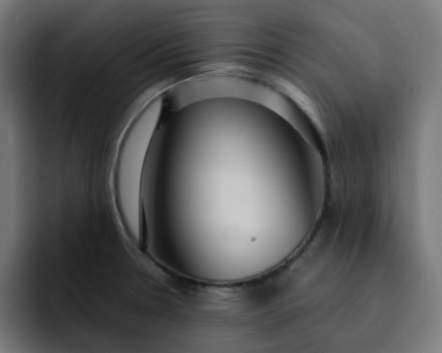 X0000093161330200710101147