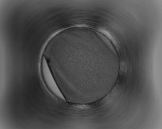 X0000093161331200710101147