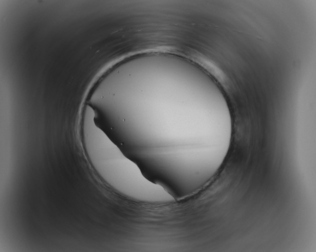 X0000093161332200710101147