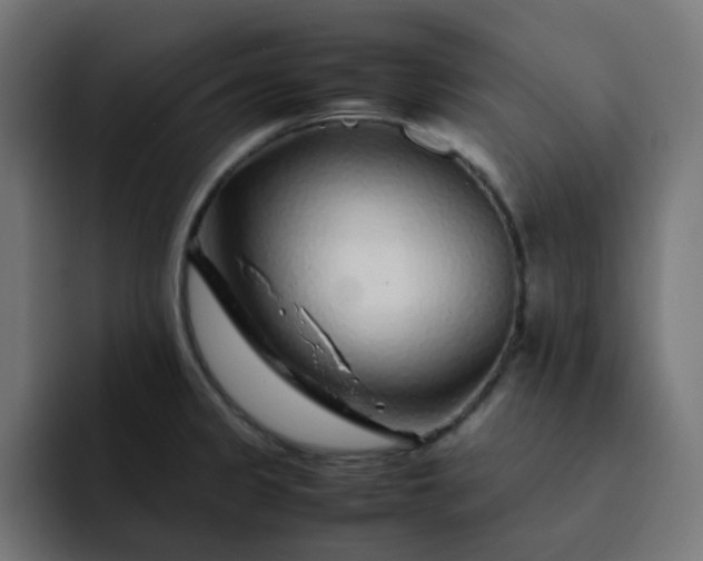 X0000093161333200710101147