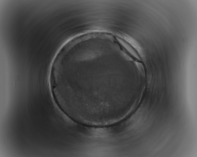 X0000093161334200710101147
