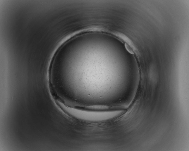 X0000093161335200710101147