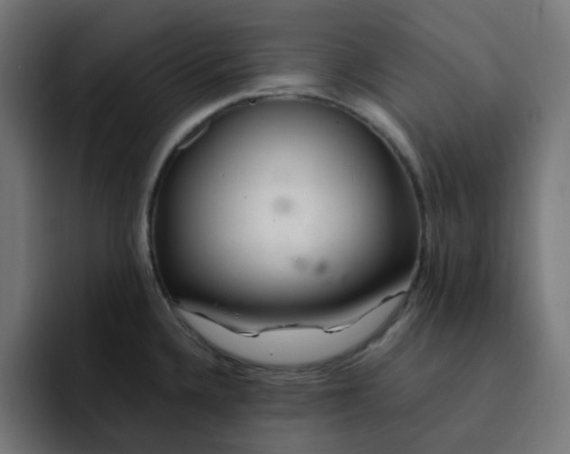 X0000093161336200710101147