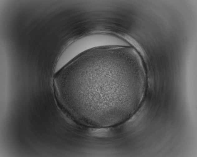 X0000093161337200710101147