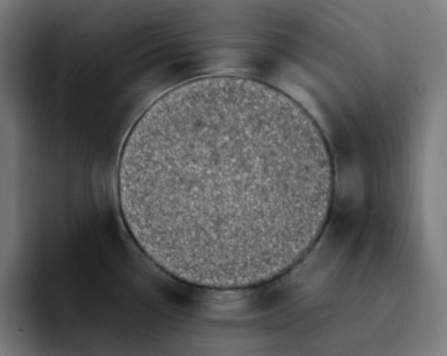 X0000093161338200710101147