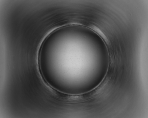 X0000093161339200710101147