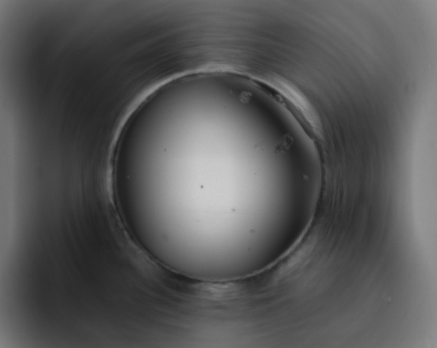 X0000093161340200710101147