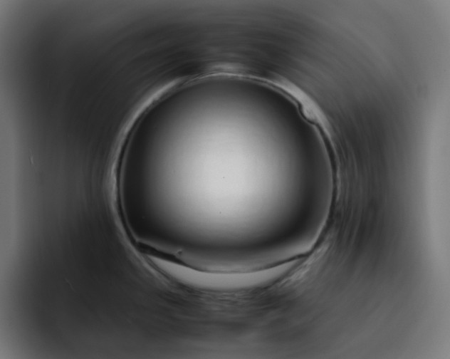 X0000093161341200710101147