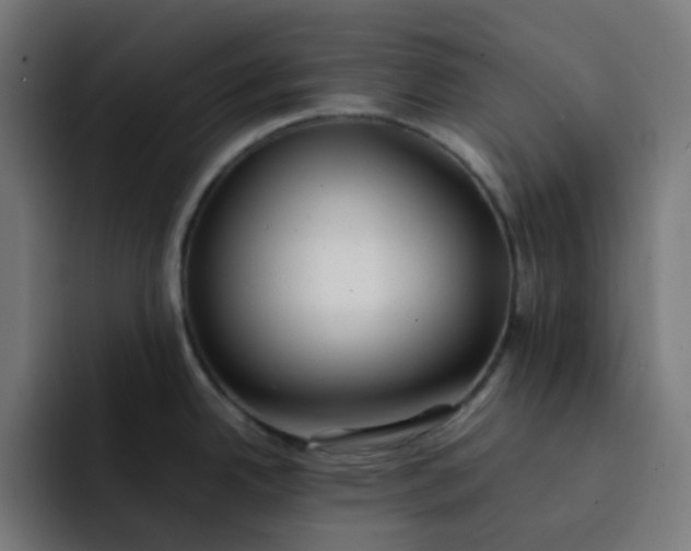 X0000093161342200710101147
