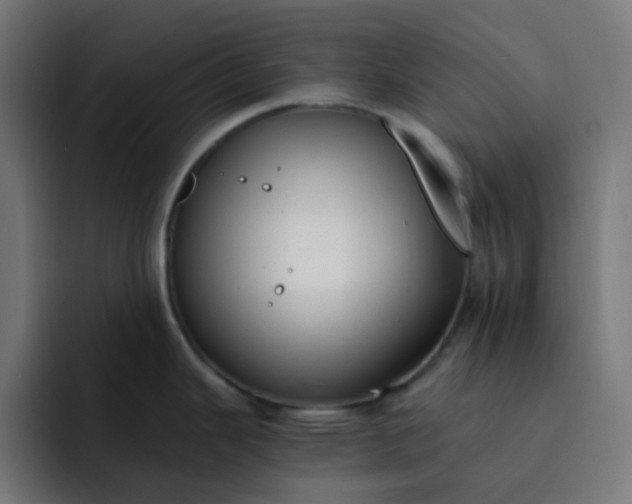 X0000093161343200710101147