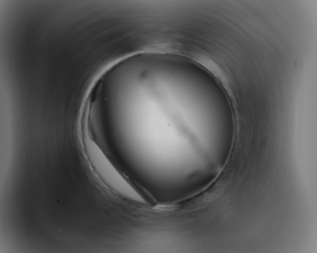 X0000093161344200710101147